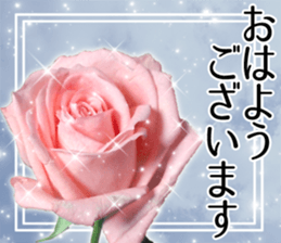 Rose Sticker sticker #13650838