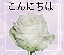 Rose Sticker sticker #13650839