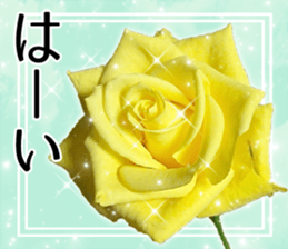 Rose Sticker sticker #13650850