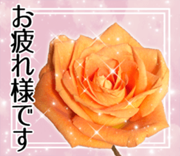 Rose Sticker sticker #13650853