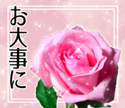 Rose Sticker sticker #13650857
