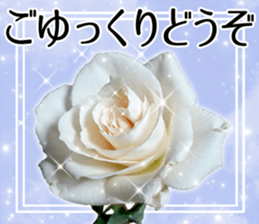 Rose Sticker sticker #13650859