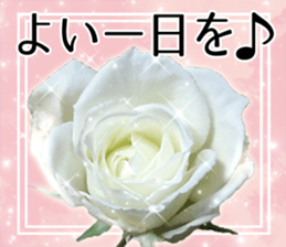 Rose Sticker sticker #13650860
