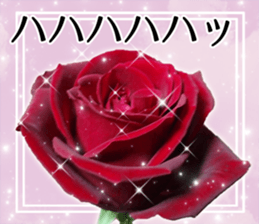Rose Sticker sticker #13650867