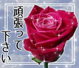 Rose Sticker sticker #13650868