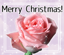 Rose Sticker sticker #13650874