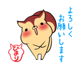 HIMARI's exclusive sticker sticker #13651808