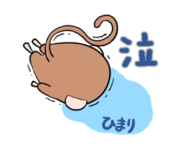 HIMARI's exclusive sticker sticker #13651827