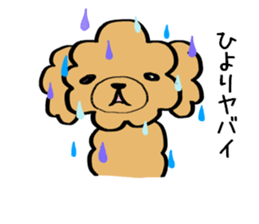 Hiyori weateher sticker #13652680