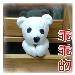 Cotton Ball7-photobook