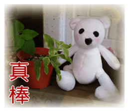 Cotton Ball7-photobook sticker #13653077