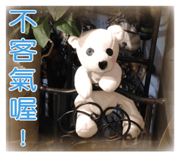 Cotton Ball7-photobook sticker #13653089