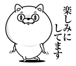 Every day honorific cat sticker #13655292