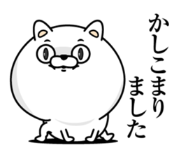 Every day honorific cat sticker #13655299