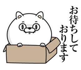 Every day honorific cat sticker #13655301