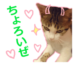 My cat OJYOU sticker #13655825