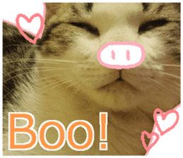 My cat OJYOU sticker #13655833