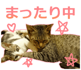 My cat OJYOU sticker #13655834