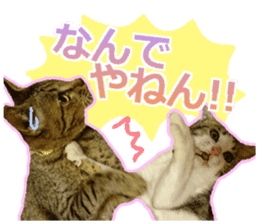 My cat OJYOU sticker #13655835