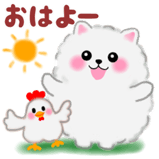 cute white Pomeranian sticker #13657150