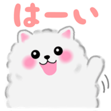 cute white Pomeranian sticker #13657154