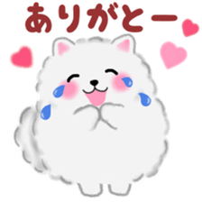 cute white Pomeranian sticker #13657156
