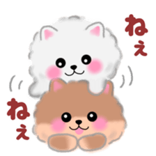 cute white Pomeranian sticker #13657158