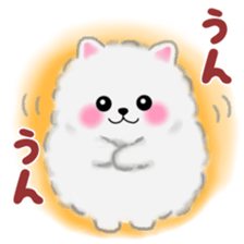 cute white Pomeranian sticker #13657159