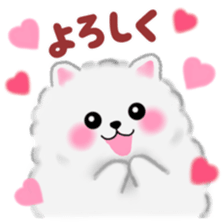 cute white Pomeranian sticker #13657160