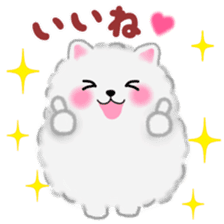 cute white Pomeranian sticker #13657161