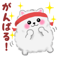 cute white Pomeranian sticker #13657163