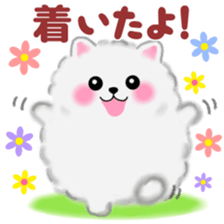 cute white Pomeranian sticker #13657169