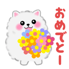 cute white Pomeranian sticker #13657170