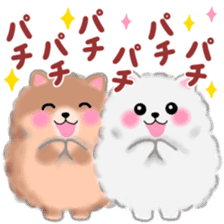 cute white Pomeranian sticker #13657172