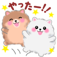 cute white Pomeranian sticker #13657173
