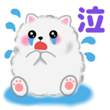 cute white Pomeranian sticker #13657175