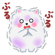 cute white Pomeranian sticker #13657177