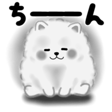 cute white Pomeranian sticker #13657184