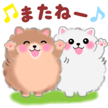 cute white Pomeranian sticker #13657188