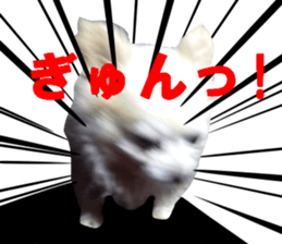 Round dog,PIPI sticker #13658357