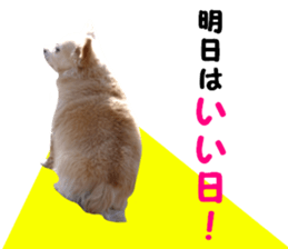 Round dog,PIPI sticker #13658366