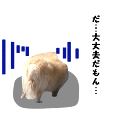 Round dog,PIPI sticker #13658382