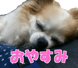 fuu chan sticker #13659584