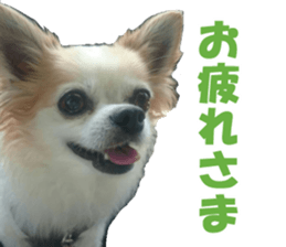 fuu chan sticker #13659585