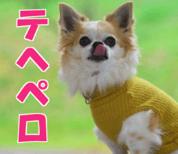 fuu chan sticker #13659586