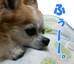 fuu chan sticker #13659587