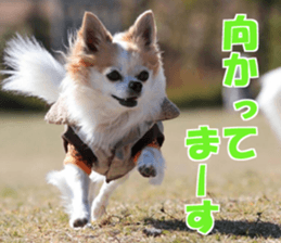 fuu chan sticker #13659588