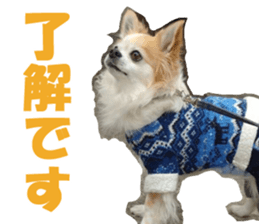 fuu chan sticker #13659589