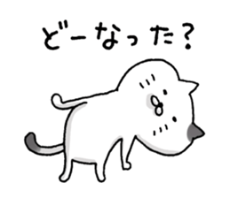 Sticker for cat lovers 4 sticker #13660393