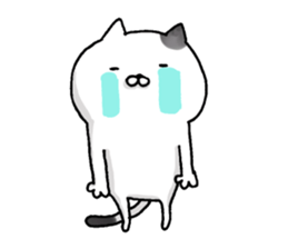 Sticker for cat lovers 4 sticker #13660408